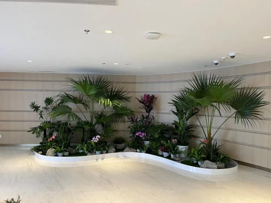 揭秘前湾花卉租摆优质之选，哪家是真行家？