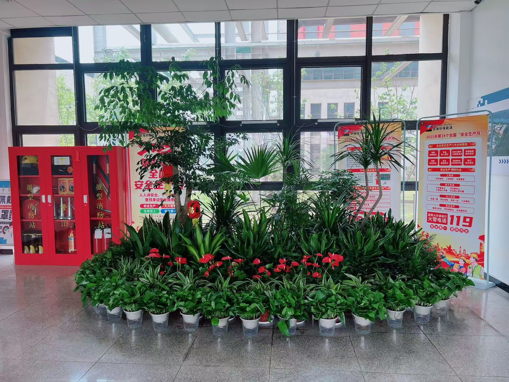 宁波鄞州盆景出租专业